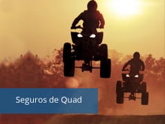 Seguro de Quad y ATV - Motopoliza.com